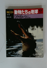 週刊朝日百科動物たちの地球　101　リクガメ・ワニが　6/6