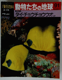 朝日百科　動物たちの地球91　