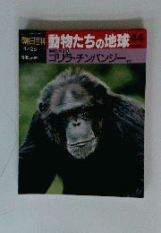 朝日百科　動物たちの地球　4月26日号　No.44