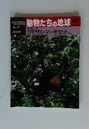 週刊朝日百科動物たちの地球　42　クモザル・マーモセット