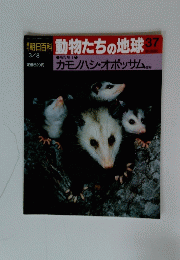 朝日百科　動物たちの地球　37　カモノハシオポッサムほか