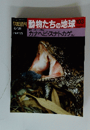 週刊朝日百科動物たちの地球　103　カナヘビ・スナトカゲ