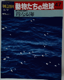 週刊朝日百科動物たちの地球　47　母なる海