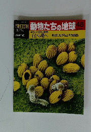 動物たちの地球48