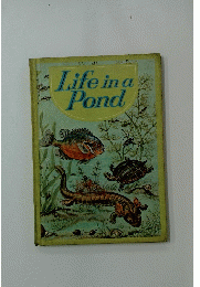 Life　in　a　Pond