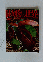 魔物の世界
