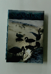 SIGNATURE　2月号