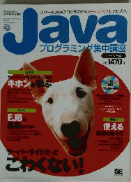 Java　プログラミング集中講座