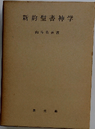 新約聖書神学