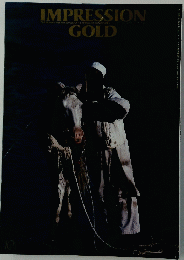 IMPRESSION　GOLD　1990年7月号