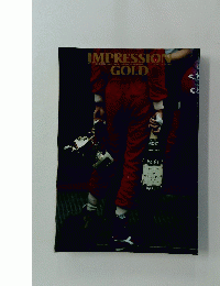 IMPRESSION GOLD　1990年号