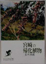 宮崎の帰化植物