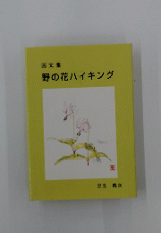 画文集　野の花ハイキング