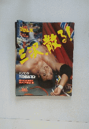 週刊プロレス　1992年3月22日号