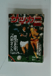 サッカー　1993