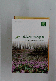 妙高の山野の植物