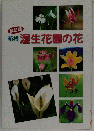 箱根湿生花園の花