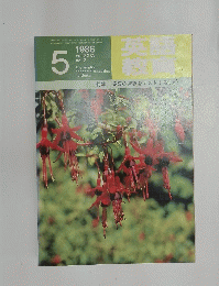 英語教育　1986年5月号