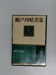 瀬戸内晴美集