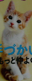 ねこのきもち　2012年2月