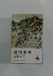 徳川家康17軍荼利の巻
