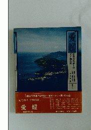愛媛