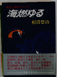 海燃ゆる 異色企業サスペンス