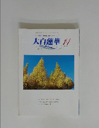 大白蓮華　2004年11月号