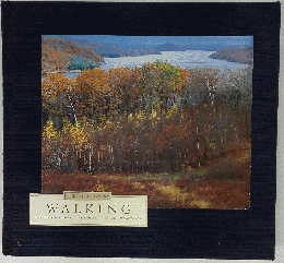 The nature company　Walking