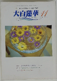 大白蓮華　11