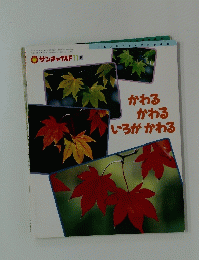 サンチャイルド11月　かわるかわるいろがかわる