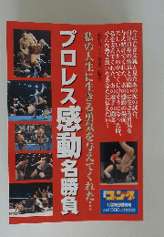 プロレス感動名勝負