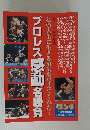 プロレス感動名勝負