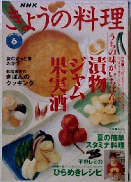 きょうの料理　1995年　6月号