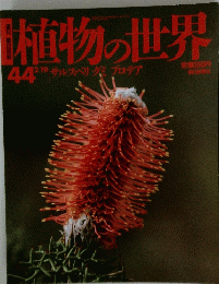 植物の世界 44