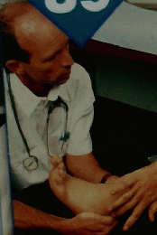 Human　Body　89