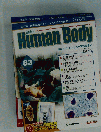 Human Body　83　
