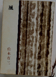 風