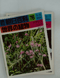 朝日百科　76　世界の植物　ナデシコ ハコベ