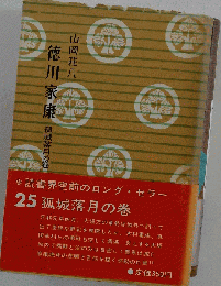 徳川家康 第25 孤城落月の巻