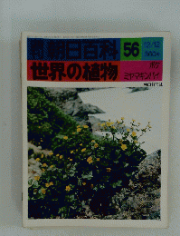 朝日百科　56　世界の植物　ボケ ミヤマキンバイ