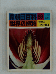 朝日百科 59　世界の植物