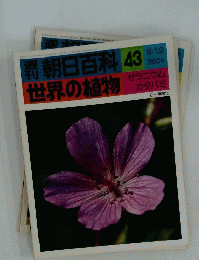 号朝日百科43　世界の植物　