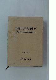 山梨考古学論集　IV　山梨県考古学協会20周年記念論文集
