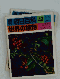 朝日百科世界の植物　42