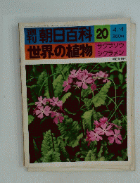 朝日百科 20 世界の植物　サクラソウ シクラメン