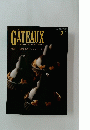 GATEAUX　2010年2月号　特集一歩踏み込むヴィエノワズリー