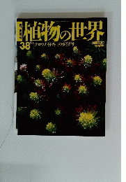 朝日百科　世界の植物　38　