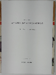 長谷小路周辺遺跡(No.236)発掘調査報告書