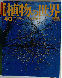 植物世界　1940年１月22日号
